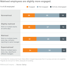 making the most of the matrix organization mckinsey