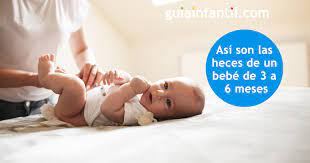 Las Veces Que Un Bebe Debe Hacer Caca Al Dia Segun Los Meses Que Tenga