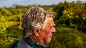 Photos: Citrus industry feels squeeze of Irma, waits for help