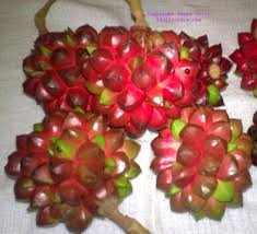 Sure, these days they come from farms, gardens, and orchards from all over the world, but most items aren't actually grown. Unusual Fruits