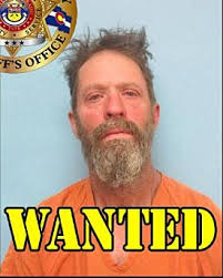 Montrose Most Wanted: Drugs, Distribution, Possession, Auto Theft