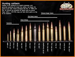 65 Explicit Centerfire Bullet Size Chart