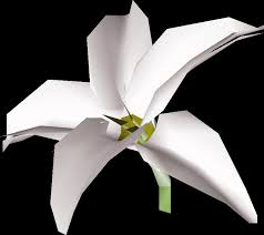 White Lily Osrs Wiki