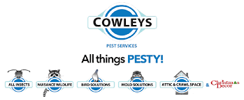 The discounts provided via coupon codes are a great way to reward loyal customers or encourage customers to take a specific action, such as completing a purchase or signing up for click the + new coupon button. Spiders Fiction Vs Fact Pct Pest Control Technology