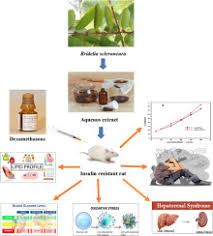 Image result for Bridelia scleroneura