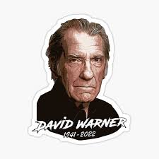 David Warner Stickers for Sale