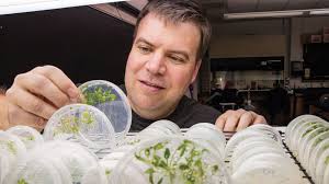 Streamlining Space Studies