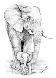 Baby Of Mine Dibujo De Grafito Que Hice De Uno De Mis Animales Favoritos En El Anima In 2021 Graphite Drawings Elephant Drawing Elephant Sketch
