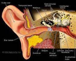 Living A Normal Life With Tinnitus Tinnitus Remedies Eustachian Tube Dysfunction Blocked Ear
