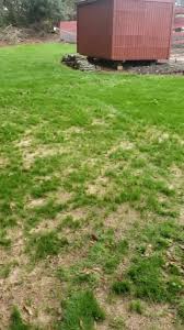 Find the right home care to fit your needs. Grassroots Turf Pest Management Home Facebook