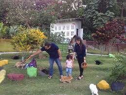 Wisata ini baru dibuka pada tanggal 20 mei 2019. Harga Tiket Masuk Dan Lokasi Rabbit Park Blitar Spot Wisata Terbaru Dengan Fasilitas Menarik Daka Tour