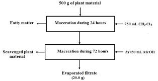 Image result for Diospyros mweroensis