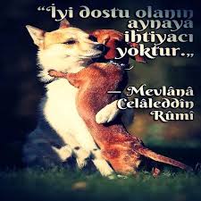 Resimli Dostluk Sozleri Pek Guzel Sozler Guzel Soz