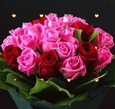 Le gif rosa di incredibile bellezza con gocce di rugiada e brina che cadono dal cielo. Mazzo Di Fiori Animato