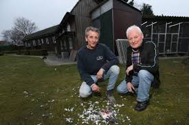 Roofvogels Natuurhulpcentrum vormen bedreiging voor onze duiven” (Peer)