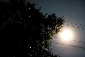 weather 관련 이미지