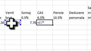 Structure des formules de calcul. Stat De Salarii Simplu Cu Excel Youtube