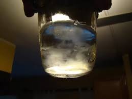 The purpose of lc is to make inoculating substrates and grain spawn easier. Make Liquid Culture Fungus Fanaticus