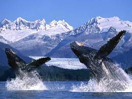 Eligibility criteria to get the payment from the state. Alaska Is Paying People To Live There Seebtm Magazine