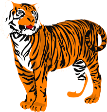 See more ideas about animals beautiful, cute animals, animals. Tiger Clipart Black And White Panda Free Image Clipart Tiger Clipart Png Transparent Png Full Size Clipart 937628 Pinclipart