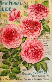 Check spelling or type a new query. Remodelaholic 25 Free Printable Vintage Floral Images