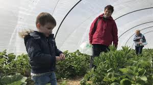 We did not find results for: A La Cueillette De Hoymille Le Rouge Reste Synonyme De Fraises Et De Gourmandise