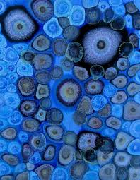 Laura Gurton Unknown Species Series Blue Art Abstract Expressionist Art Art