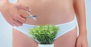 In the direction it's growing. Should I Shave My Pubes Our Sex Editor Has The Answer Glamour Uk