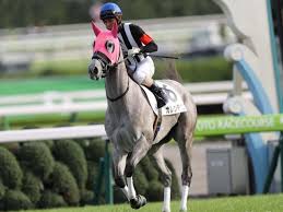 Последние твиты от ケイン・ヤリスギ「♂」 (@kein_yarisugi). å‡½é¤¨ã‚¹ãƒ—ãƒªãƒ³ãƒˆs ç™»éŒ²é¦¬ ã‚«ãƒ¬ãƒ³ãƒ¢ã‚¨ ã‚³ãƒ³ãƒˆãƒ©ãƒã‚§ãƒƒã‚¯ãªã©22é ­ ç«¶é¦¬ãƒ‹ãƒ¥ãƒ¼ã‚¹ Netkeiba Com