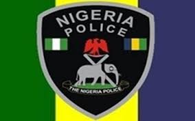 Image result for nigeria police logo