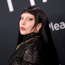 Lady Gaga issues statement over 'agonising decision' to cancel Miami show  minutes before start time