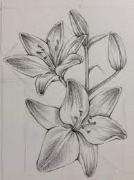 Pin On My 2d Gallery