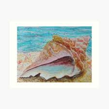 Are you looking for the echoing conches for the genshin impact echoing tales event? Conch Shell Art Prints Redbubble
