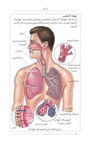 كتب طبيب العائلة in 2021 emergency nursing medical knowledge medical photos