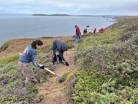 Volunteer Stewardship Day at Jenner Headlands Preserve