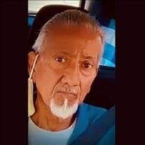 Samantha Saldana's Instagram, Twitter & Facebook