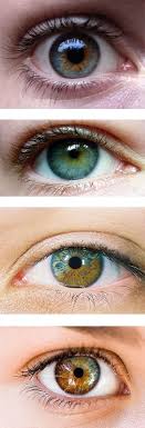 Peki Bunlar Renkli Gozse Bizimki Ne Oluyor Diye Dusundurten Birbirinden Guzel 35 Renkli Goz Crazy Eyes Gozler Goz Rengi