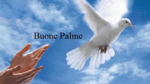 Buona domenica delle palme 2016 da alessandro d. Buona Domenica Delle Palme 10 Frasi Scelte