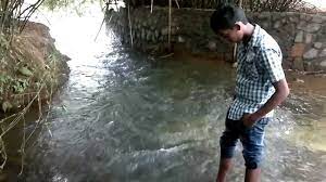 Los huéspedes están de acuerdo: La Flora Botlimaa Temple River Youtube