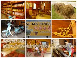 瑜玲育儿经 elaine teh 阿嫲的家 ah ma house malaysia travel house malaysia