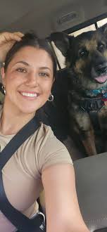 Corgi owners in the Charlotte area