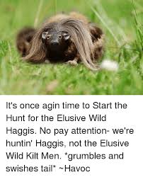 The best memes from instagram, facebook, vine, and twitter about haggis. It S Once Agin Time To Start The Hunt For The Elusive Wild Haggis No Pay Attention We Re Huntin Haggis Not The Elusive Wild Kilt Men Grumbles And Swishes Tail Havoc Meme