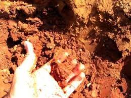 Alabama Red Clay Soil Red Clay Clay Soil Clay