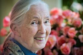 TAKE A STROLL AMONG PLANTS, GARDENING WARES