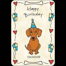 Birthday Happy Birthday Dachshund Dachshund Birthday Happy Birthday Dog