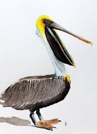 Bird With Big Mouth Original Watercolor Painting Bird Art Brown Pelican By Betty Moore Birds Painting Bird Art Original Watercolor Painting