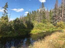 Francie S Cabin Via Burro Trail Colorado Alltrails
