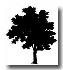 tree silhouettes tree silhouette silhouette art tree photography