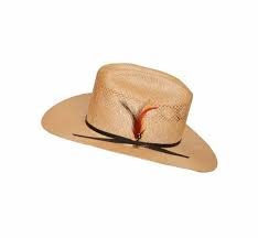 Stetson Straw Cowboy Hat Feather Hatband Black Branding Iron Etsy Cowboy Hats Stetson Cowboy Hats Hats For Men