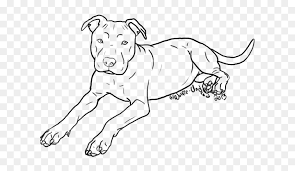 Check spelling or type a new query. Dog Breed Puppy American Pit Bull Terrier Staffordshire Bull Terrier Drawing Hd Png Download Vhv